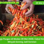 Harga pangan di Medan 29 Mei 2026 bergerak beragam. Cabai merah dan minyak goreng jadi sorotan warga karena masih tinggi.